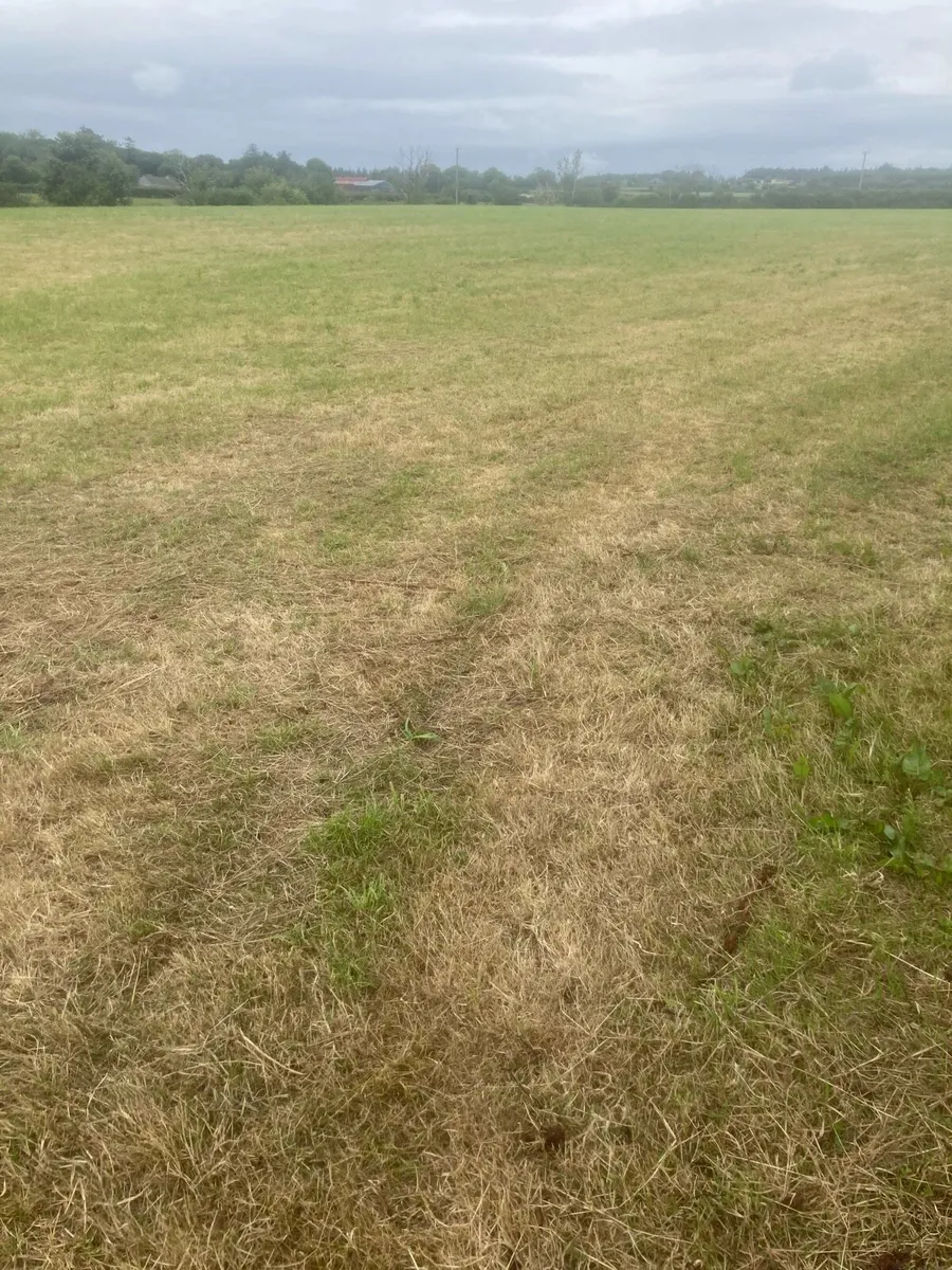 12 Acres Land Second-Cut Silage - Image 1