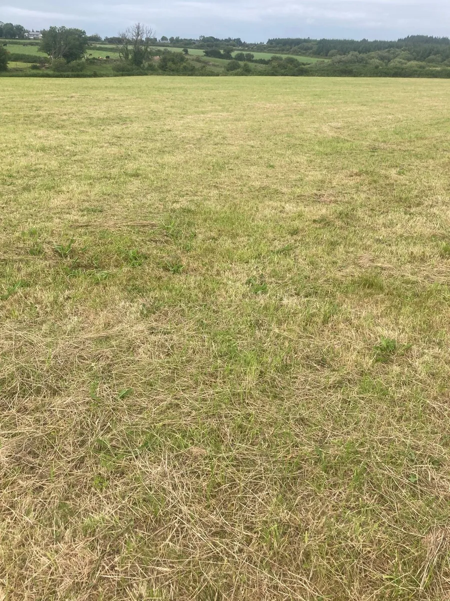 12 Acres Land Second-Cut Silage - Image 3