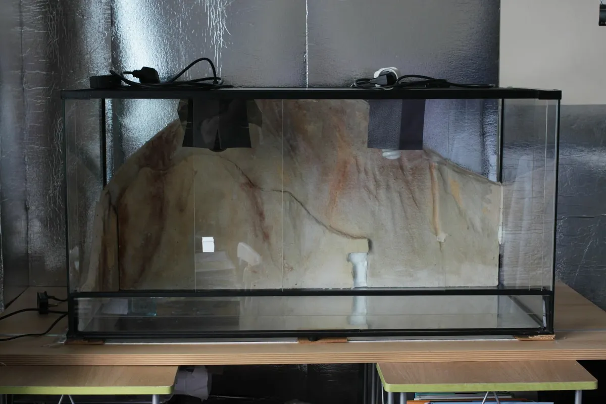 Glass Terrarium with Complete Accessories - Image 1