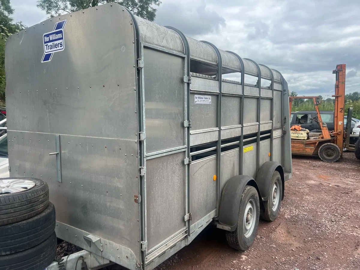 I FOR WILLIAMS 12x6 WITH SHEEP DECKS - Image 1