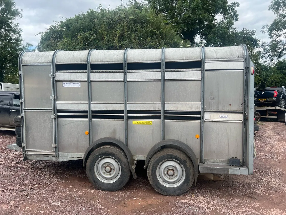 I FOR WILLIAMS 12x6 WITH SHEEP DECKS - Image 2