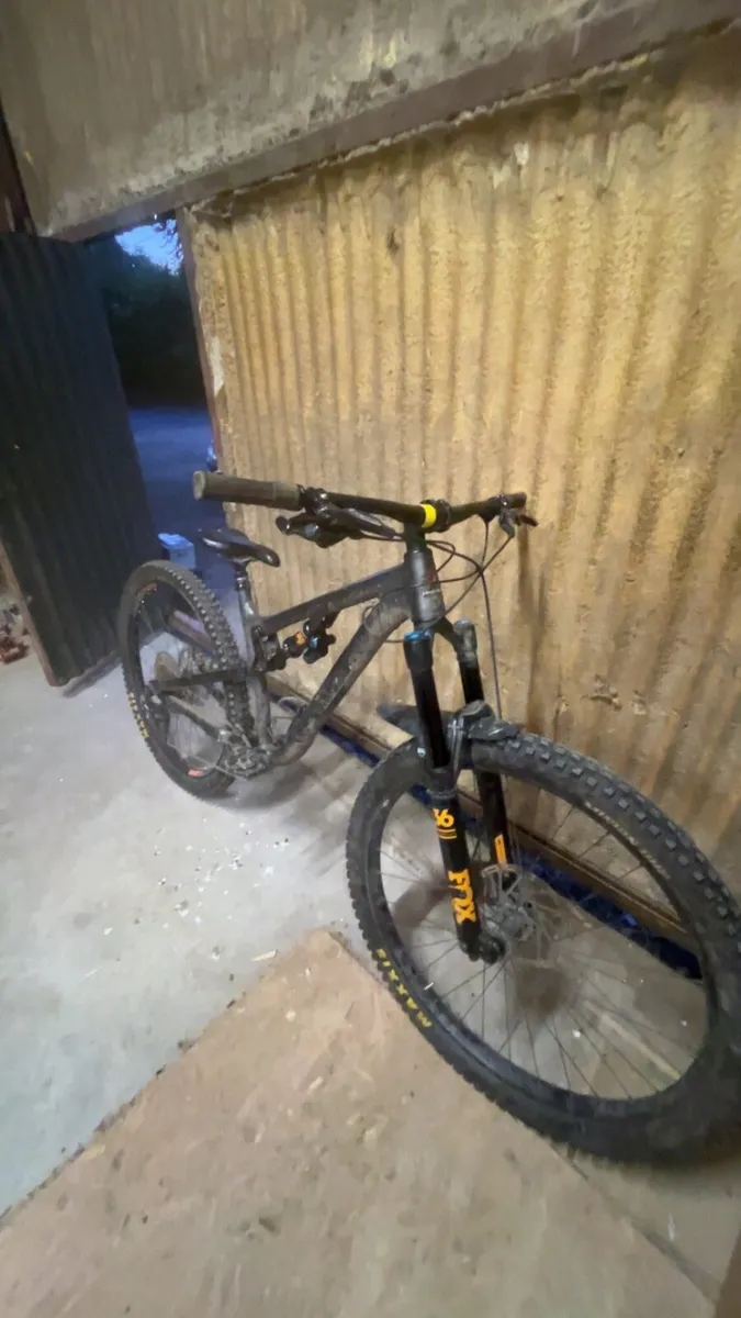Rocky Mountain instinct - Image 4