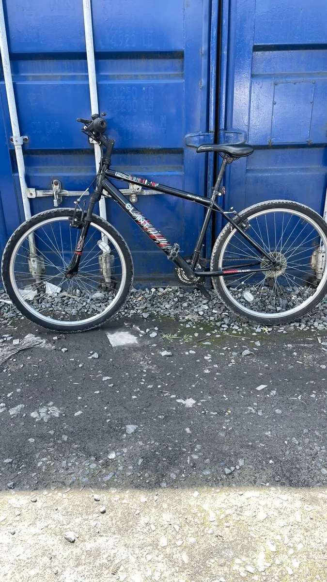 Apollo adult bike - Image 1
