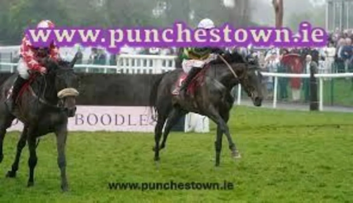 Top Internet domain www.punchestown.ie
