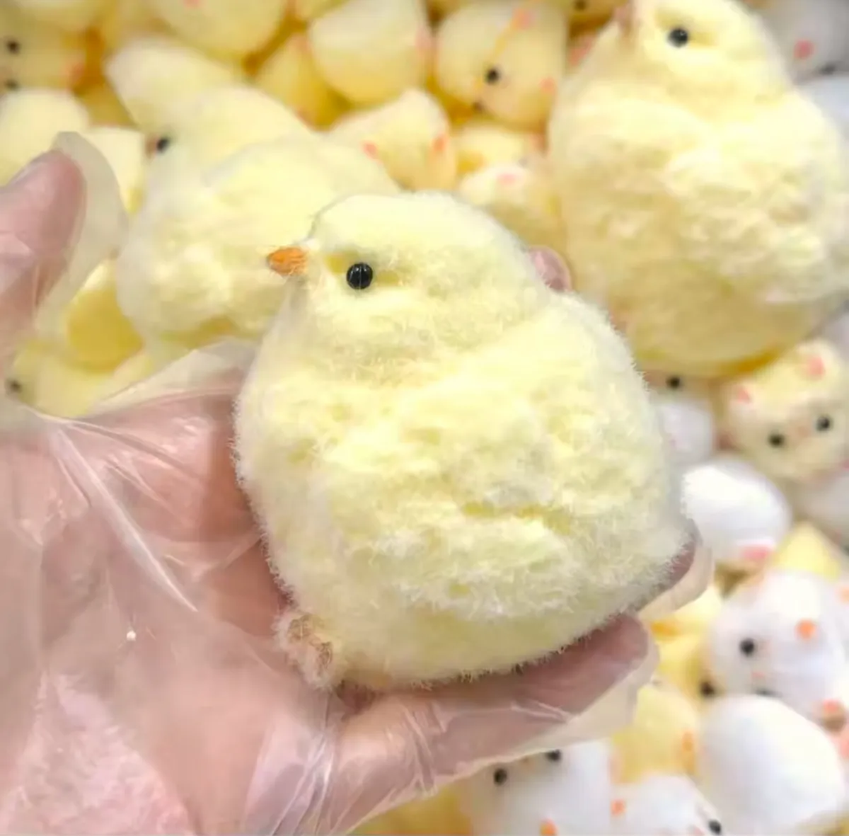 Baby chicken soft touch