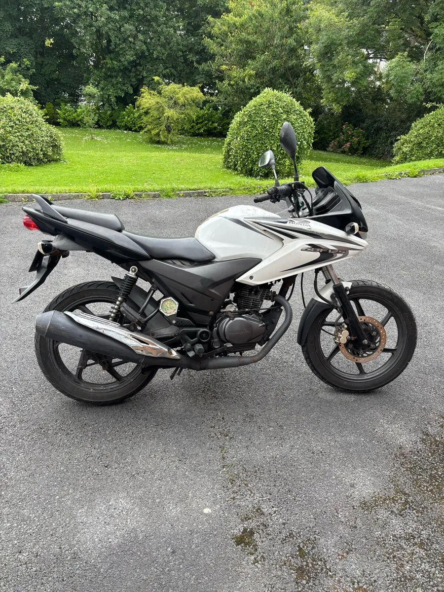 Honda cbf 125 - Image 3