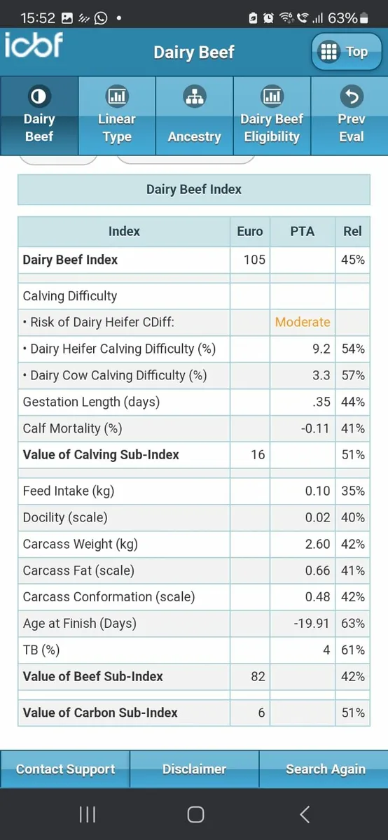 Pedigree Hereford Bull - Image 3