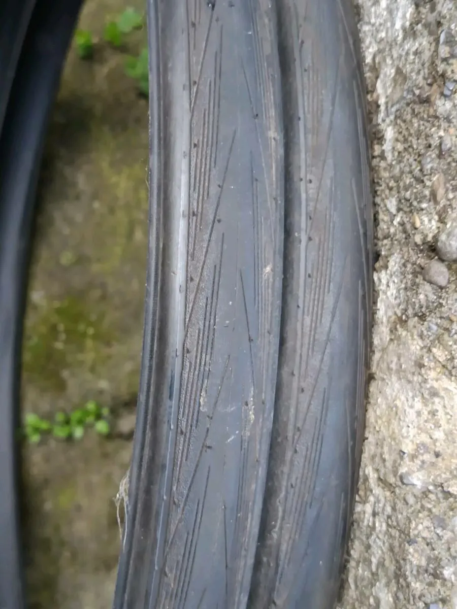 Schwalbe lugano 2 tyres x 2 - Image 1