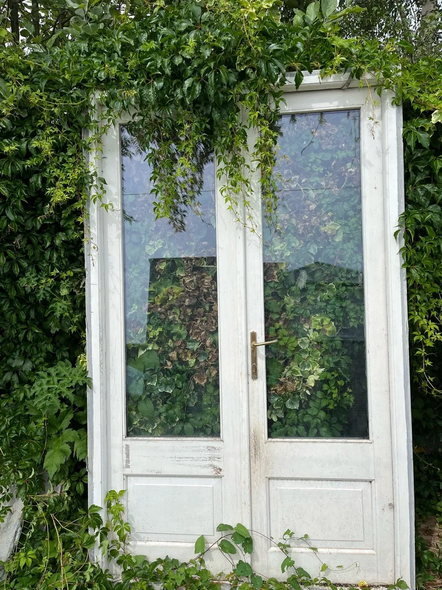 Sash windows and double door - Image 2