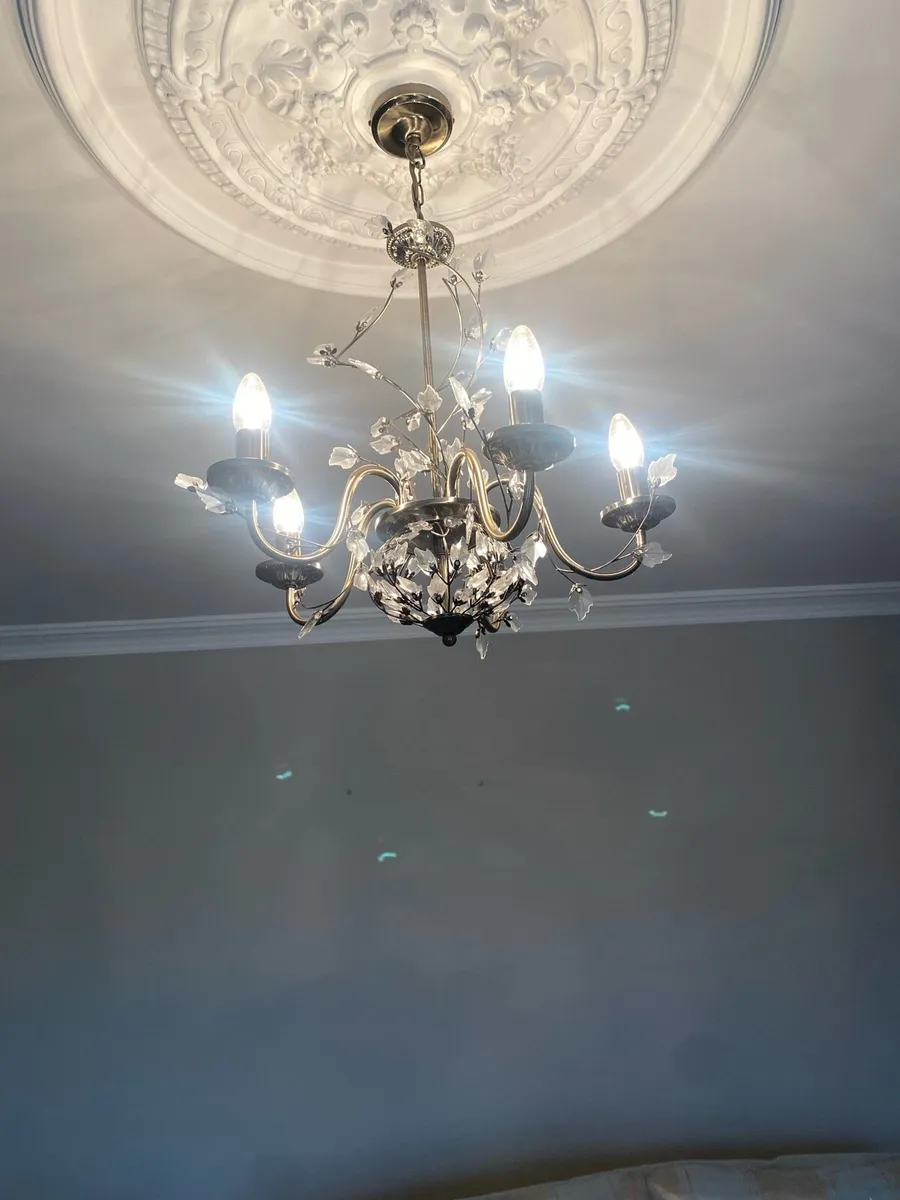 Lights - Image 3