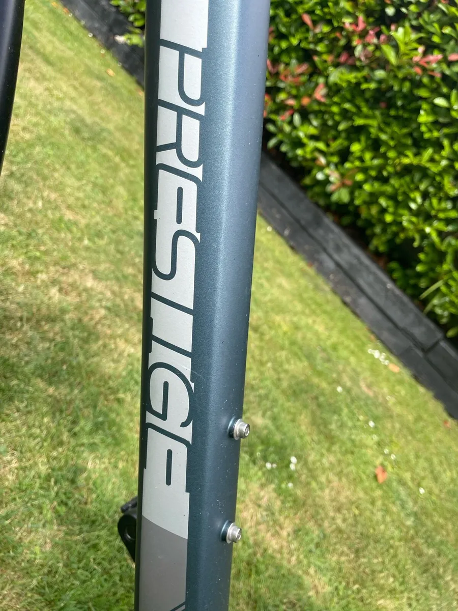 Electric Bike - Image 4
