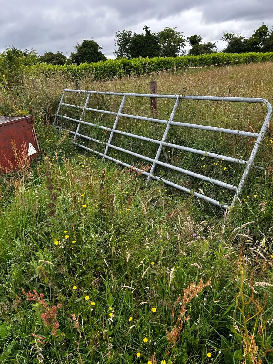 2 x Galvanised Heavy Field Gate 16ft - Image 2