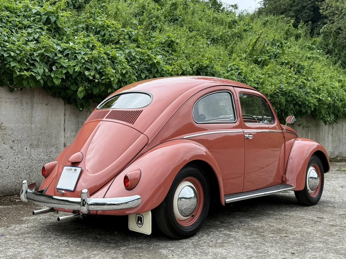 1957 Volkswagen Beetle - Image 4