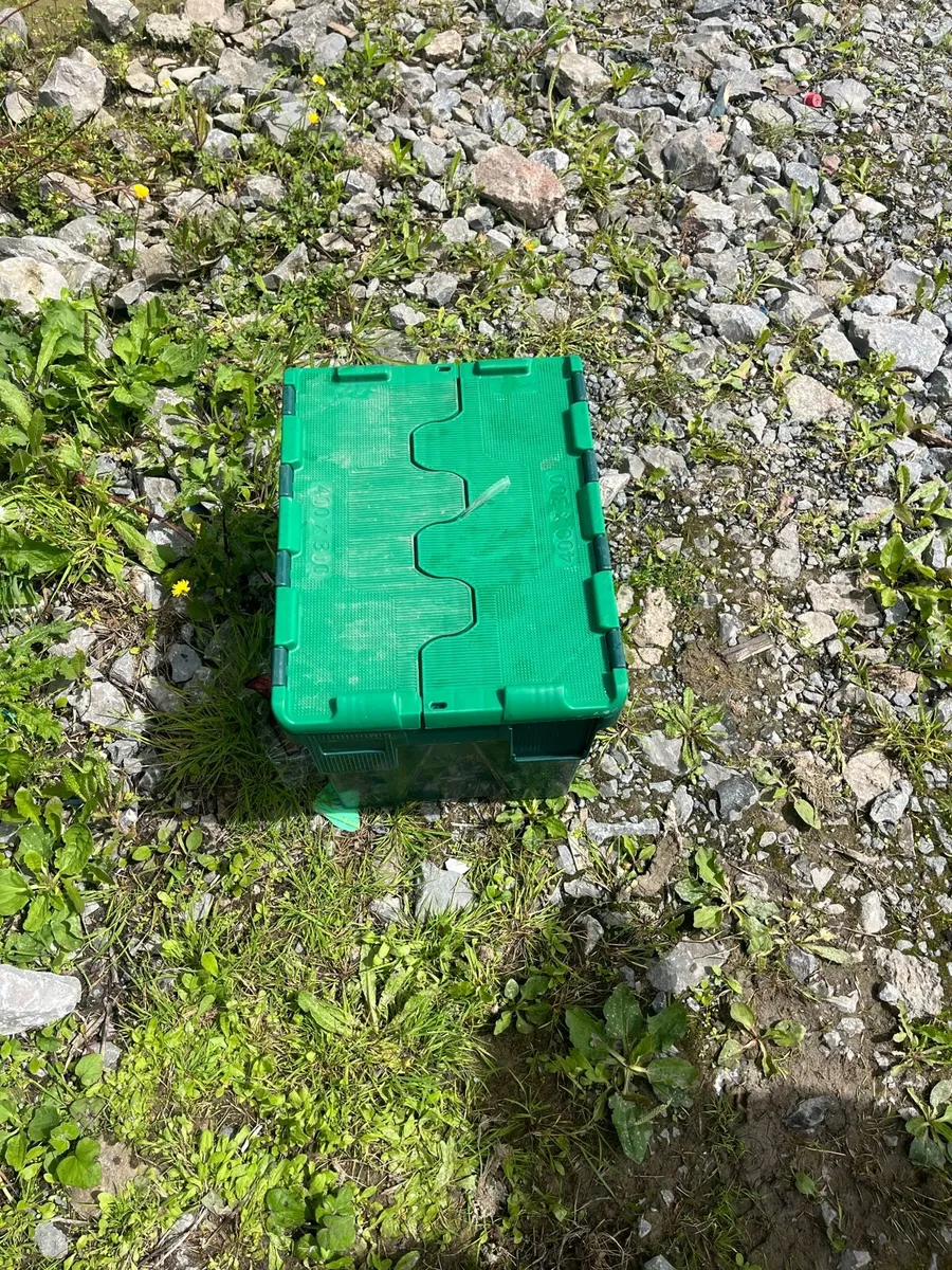 Storage boxes - Image 3