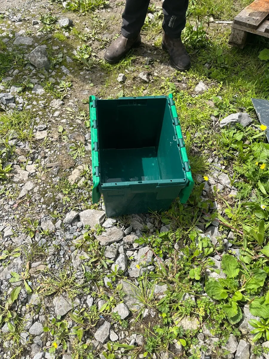 Storage boxes - Image 4