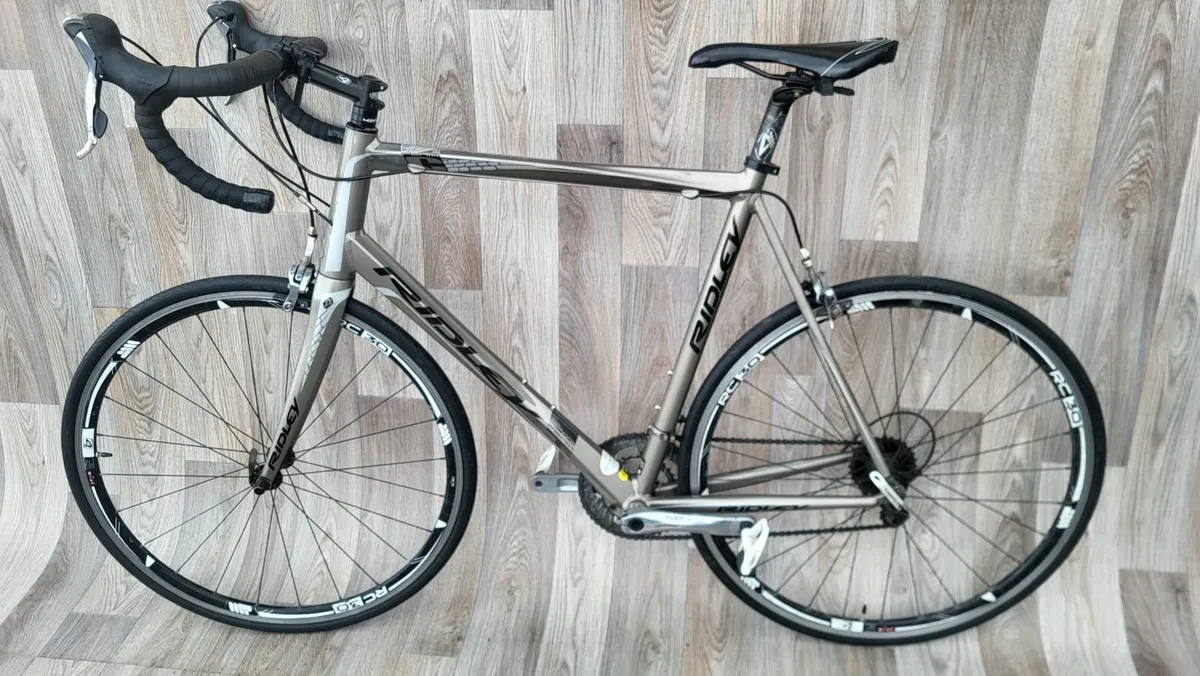 Ridley - Image 1