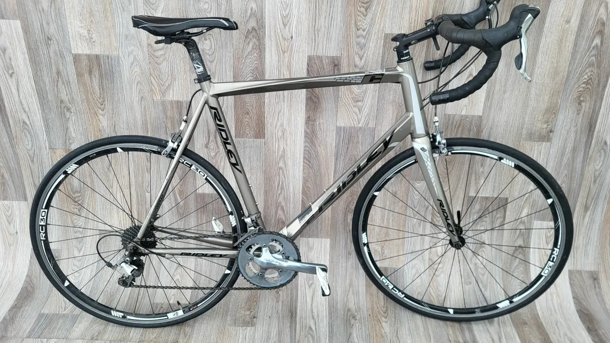 Ridley - Image 2