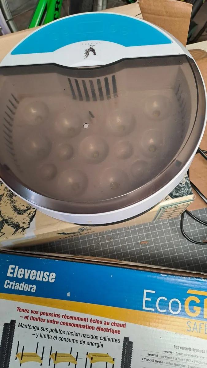Egg incubator - Image 2