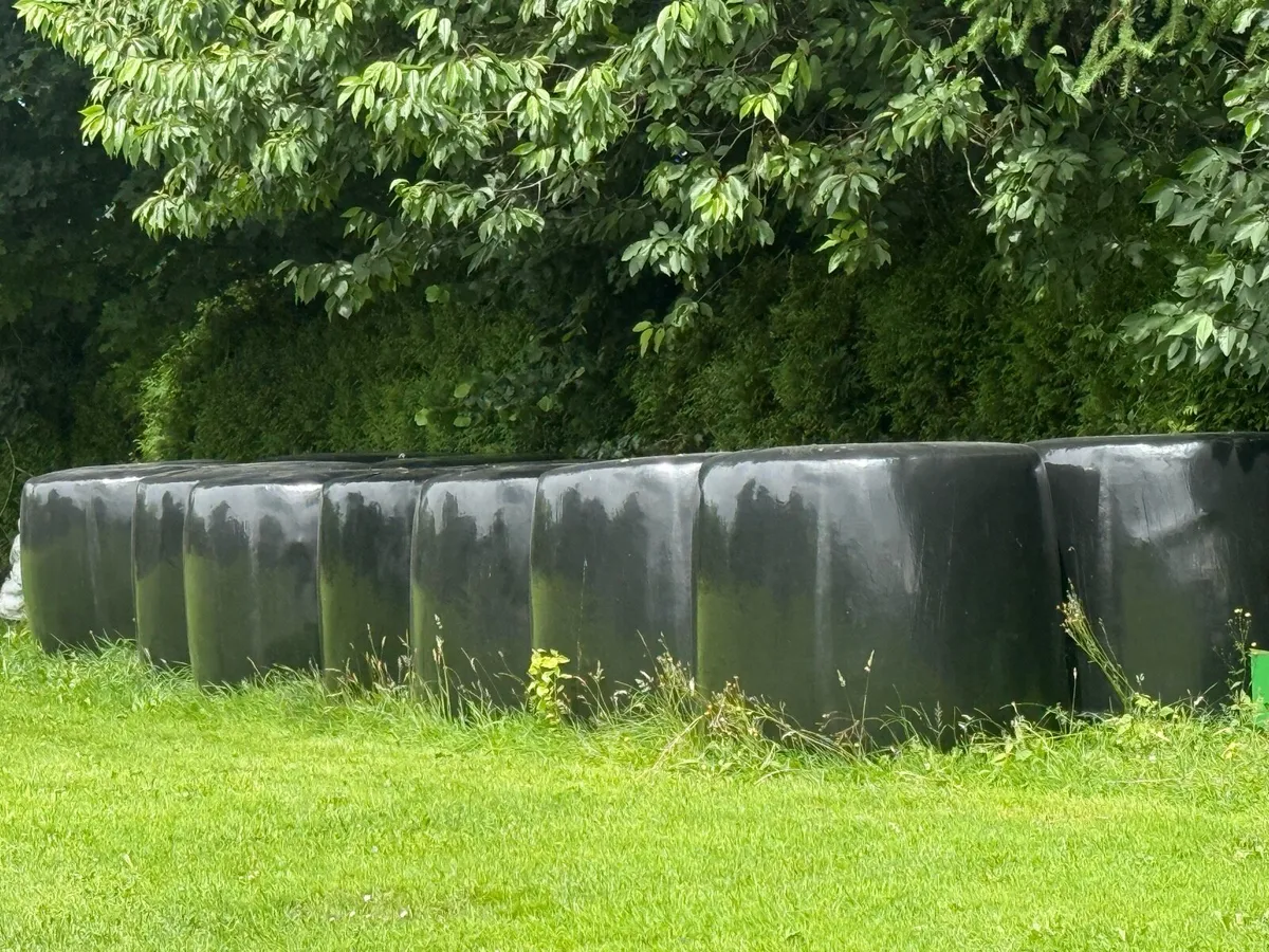 Haylage