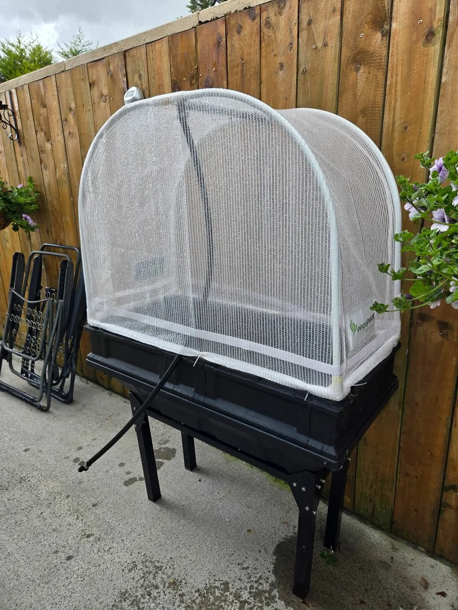 Vegetables pods - Image 1