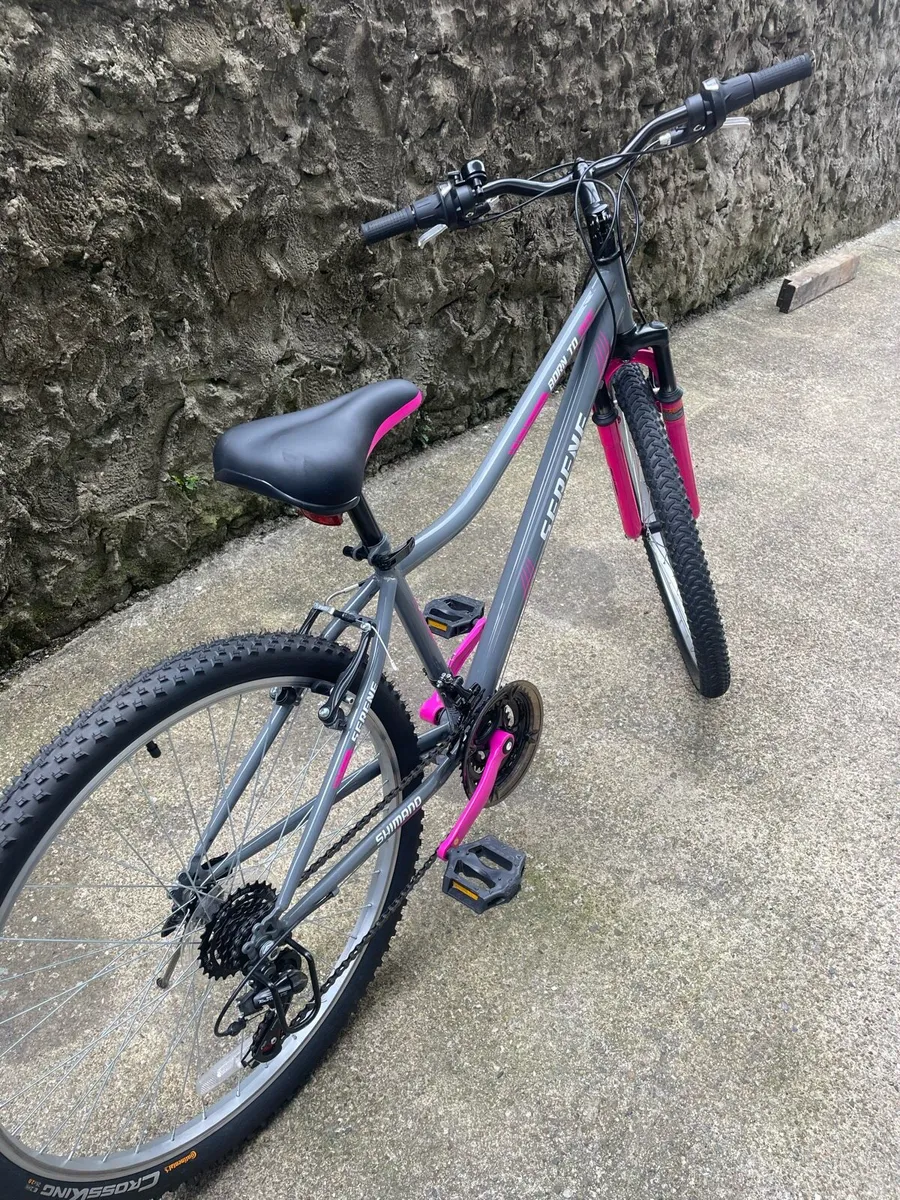 SERENA MOUNTAIN BIKE - Image 1