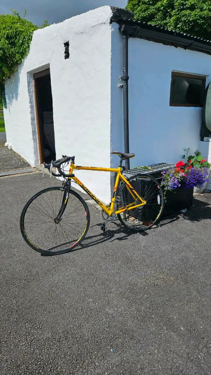 Viking Jetstream Road Bike - Image 1
