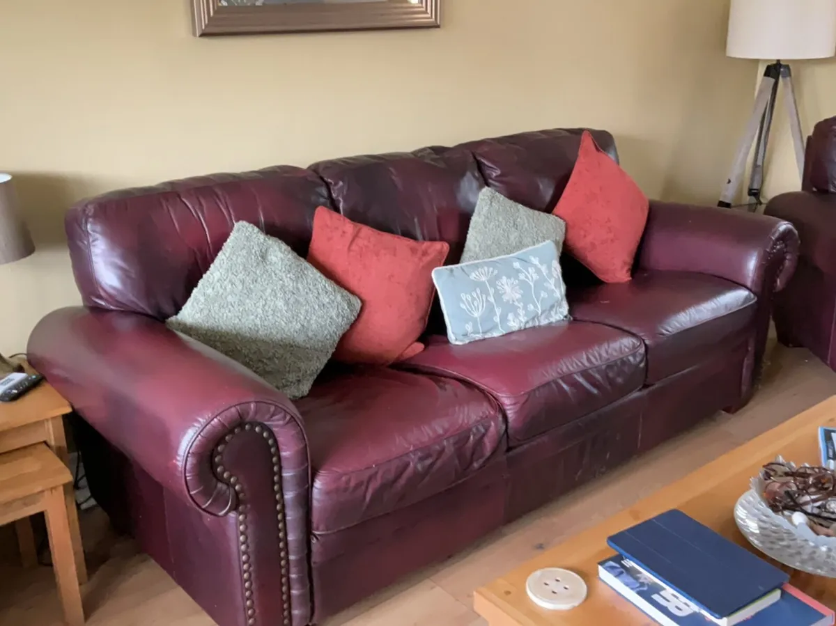 Leather Suite - Image 1