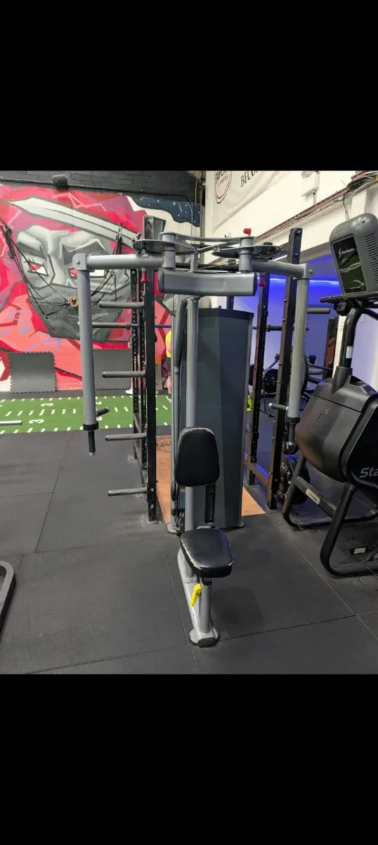Pec dec rear delt fly