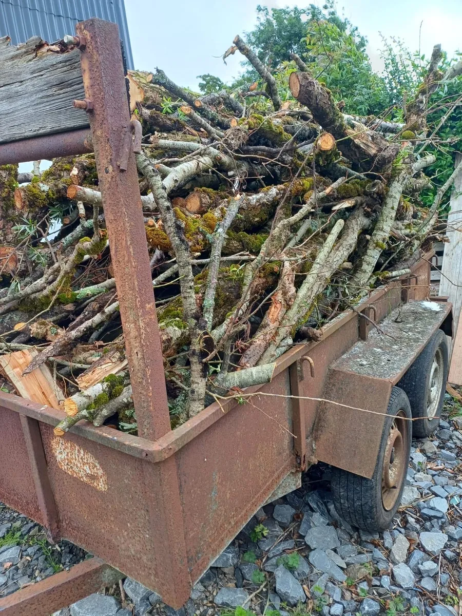 Firewood