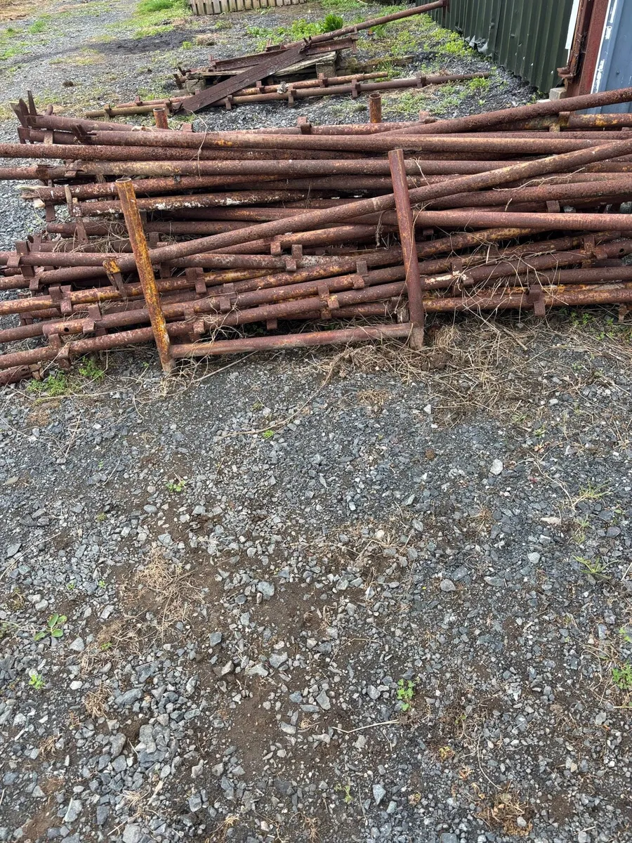 scaffolding - Image 1