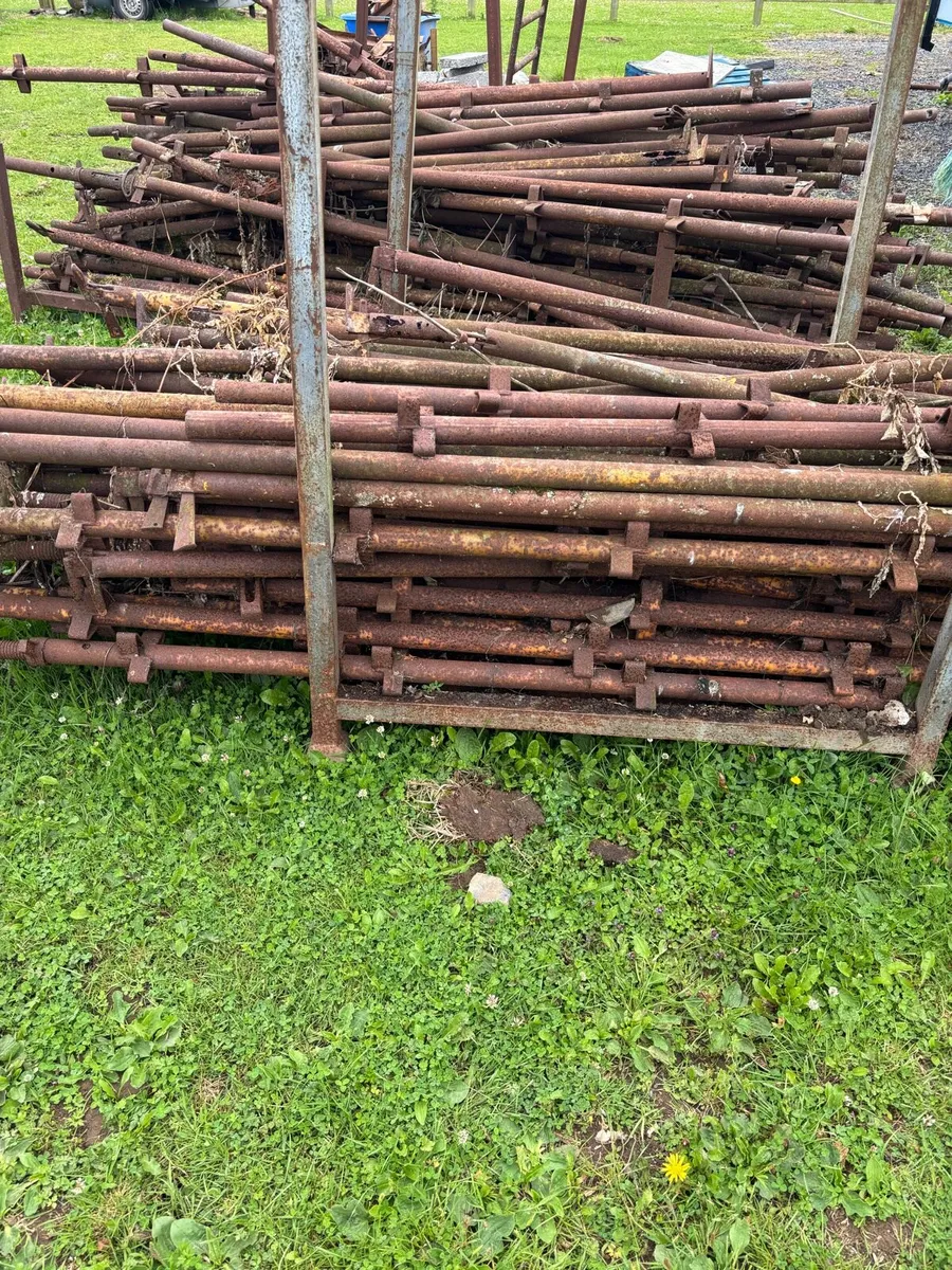 scaffolding - Image 3