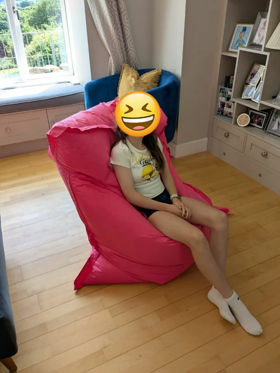 Bean Bag - Image 1