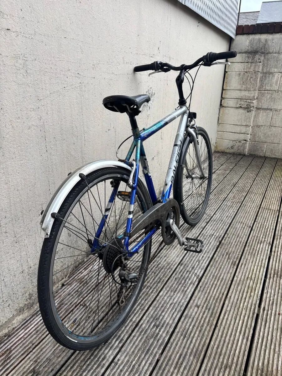 Adults bike Raleigh M size - Image 2