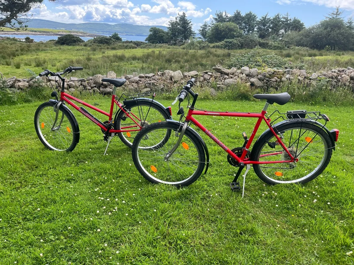Bicycle - Image 1
