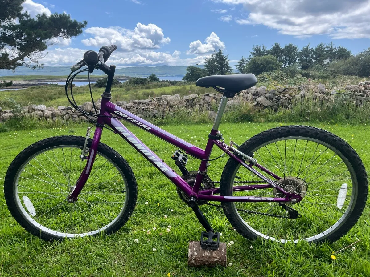 Bicycle - Image 1