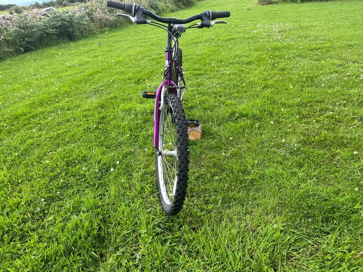 Bicycle - Image 3