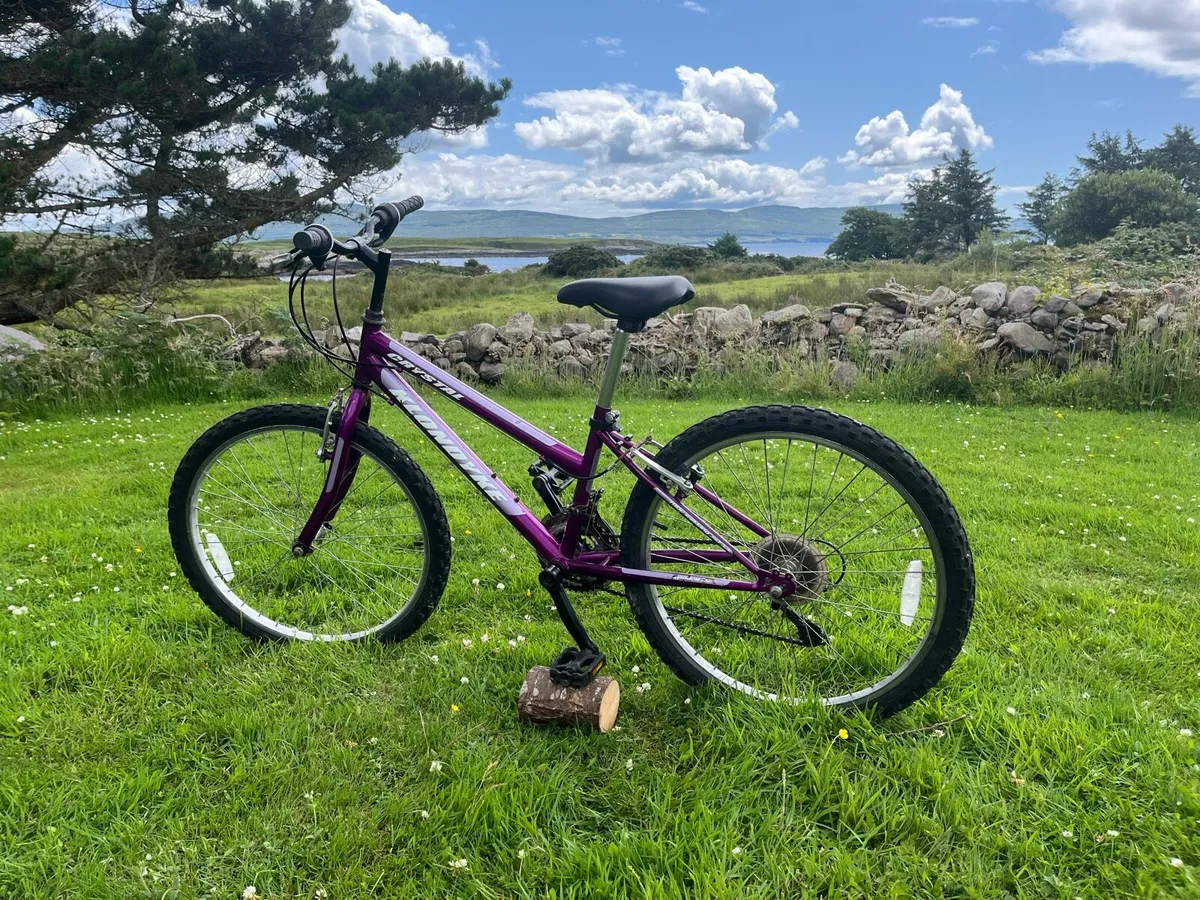 Bicycle - Image 4