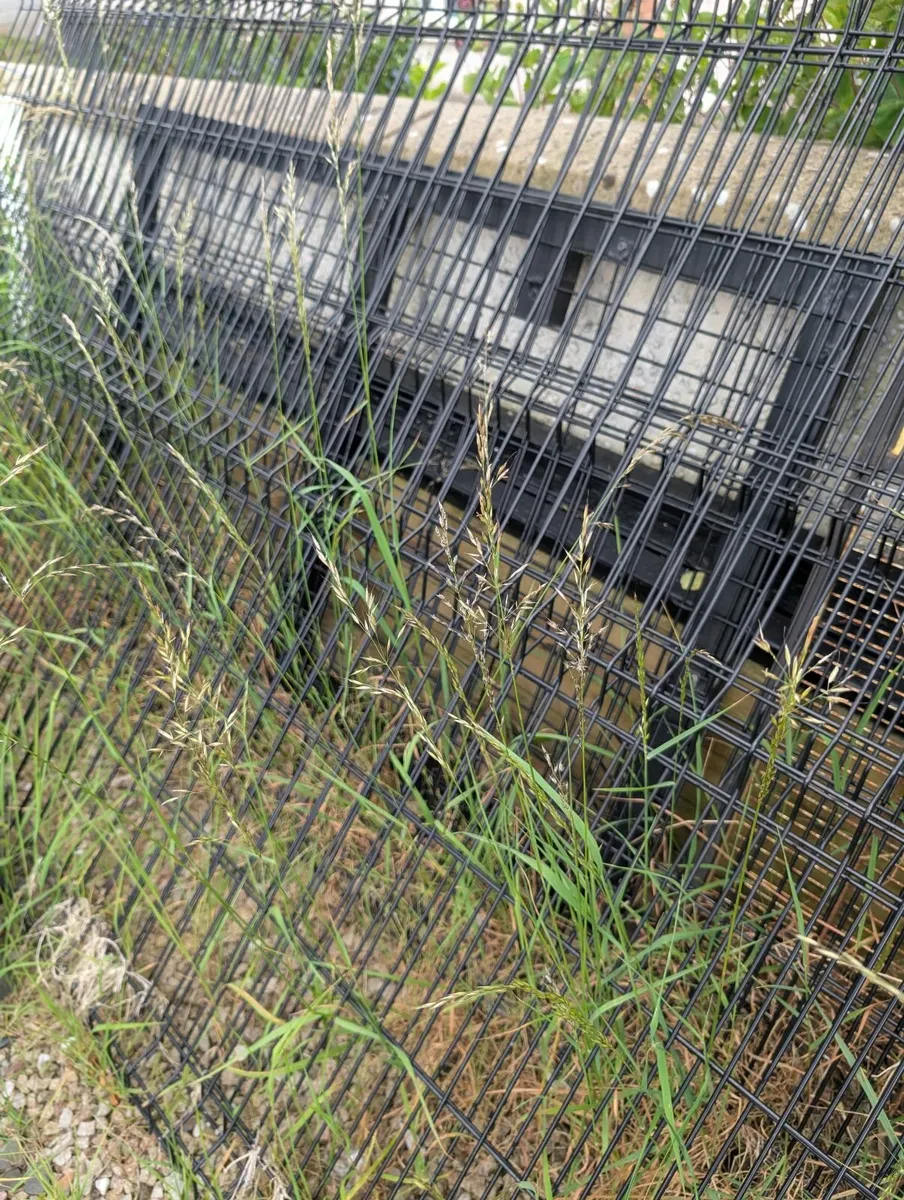 fencing - Image 2