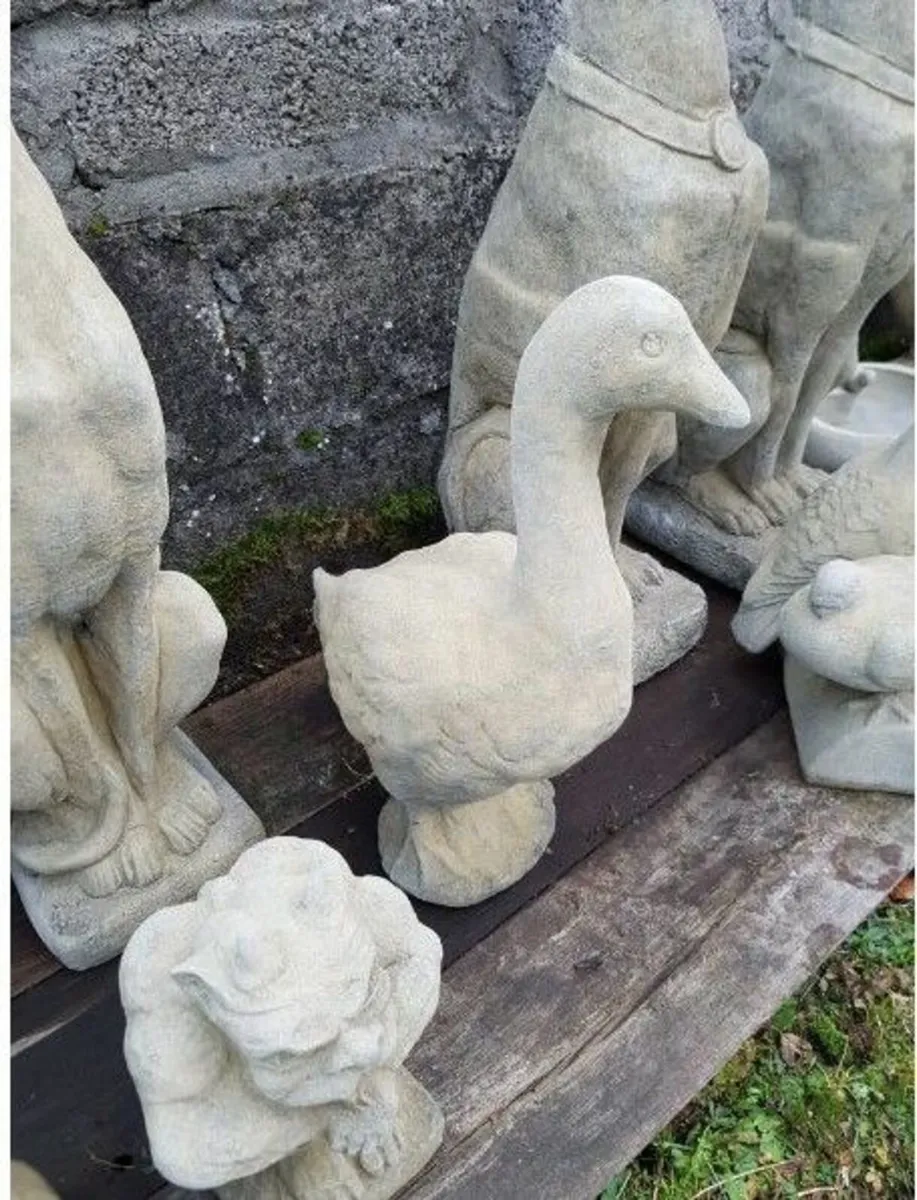 Goose EG032 - Image 1