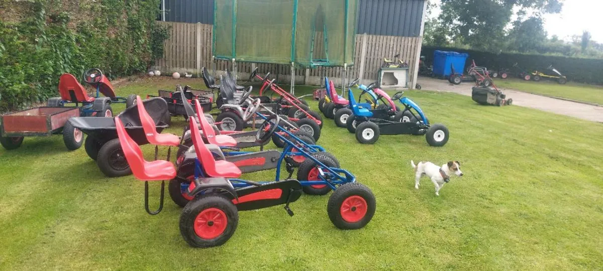 Berg Karts - Image 2