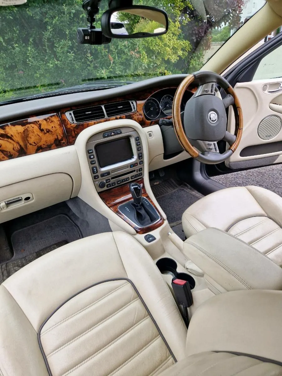 Jaguar - Image 4