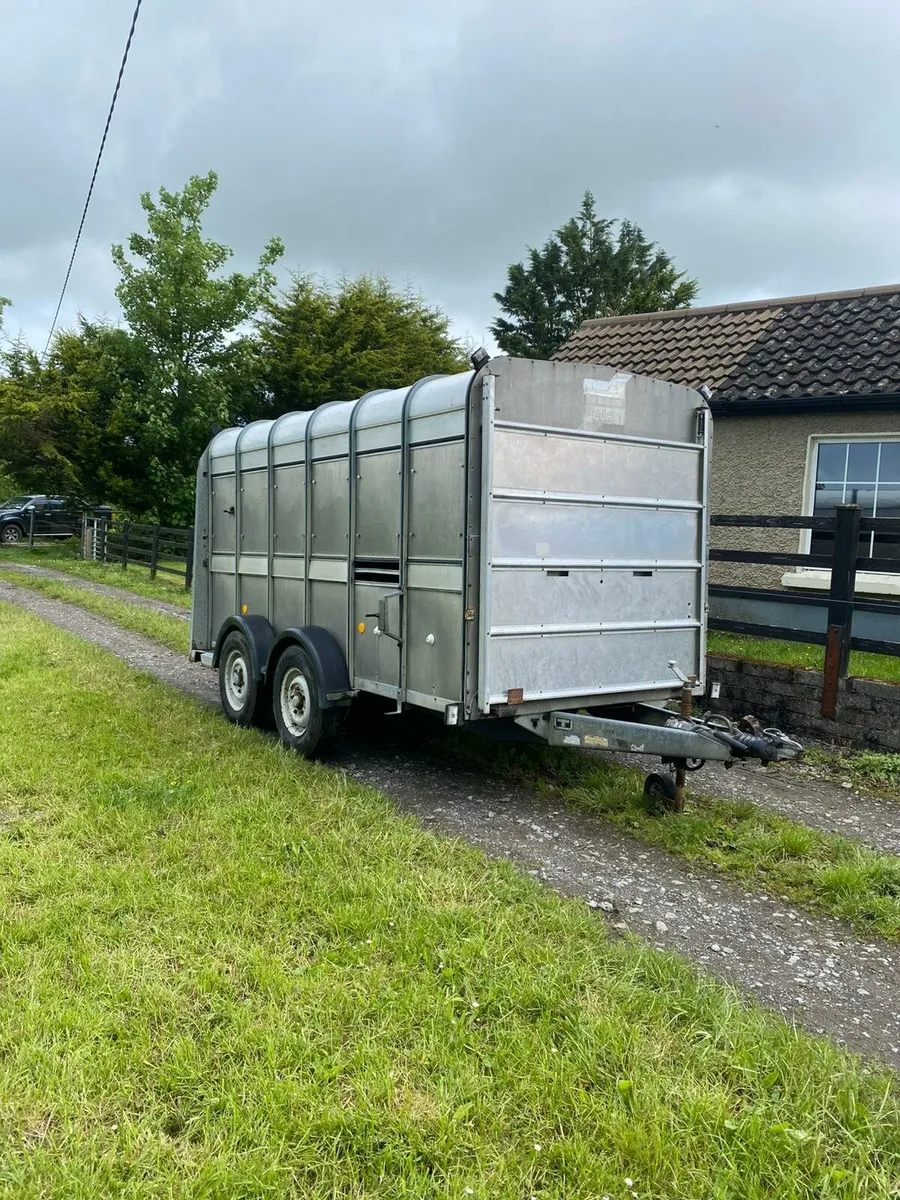 Ivor Williams cattle trailer - Image 1
