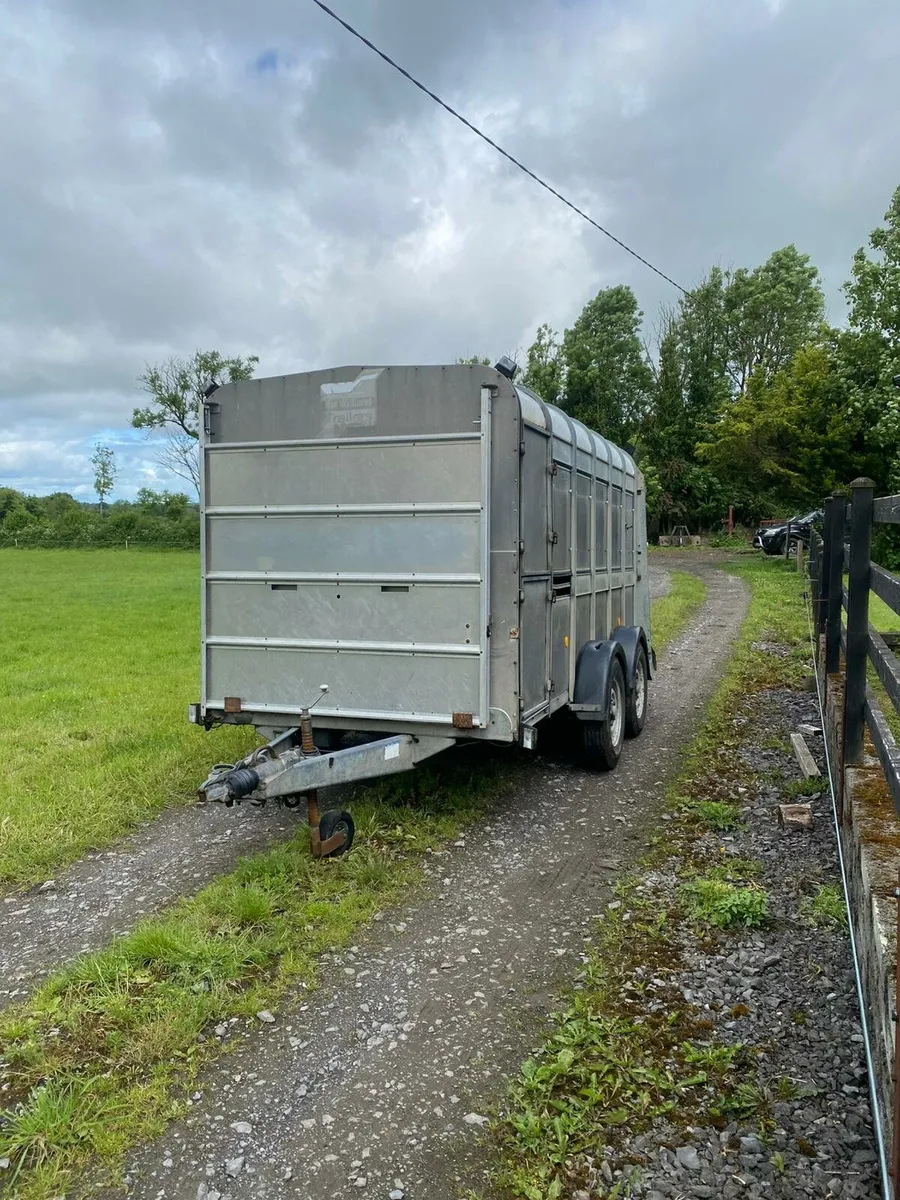 Ivor Williams cattle trailer - Image 2