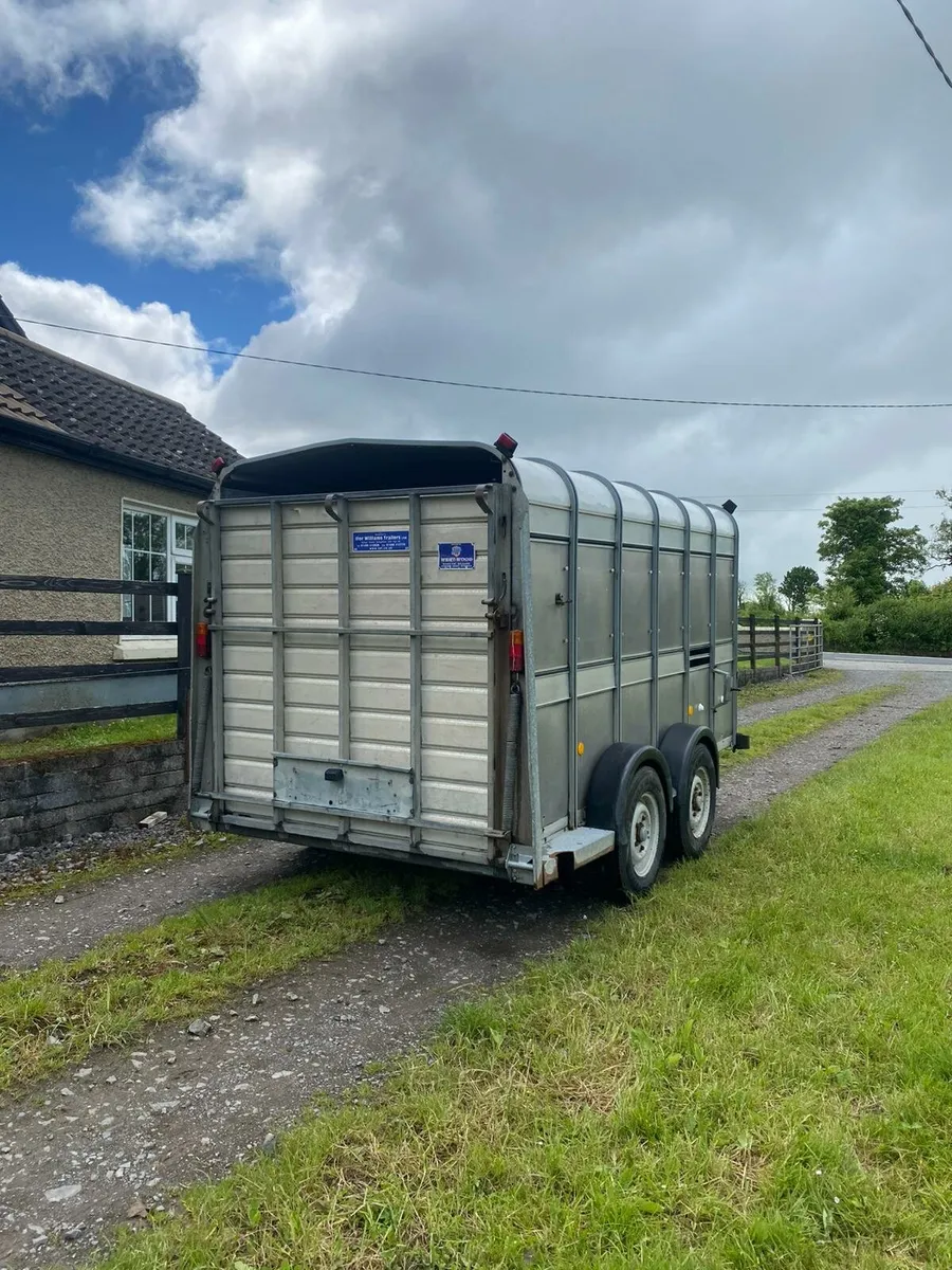 Ivor Williams cattle trailer - Image 3