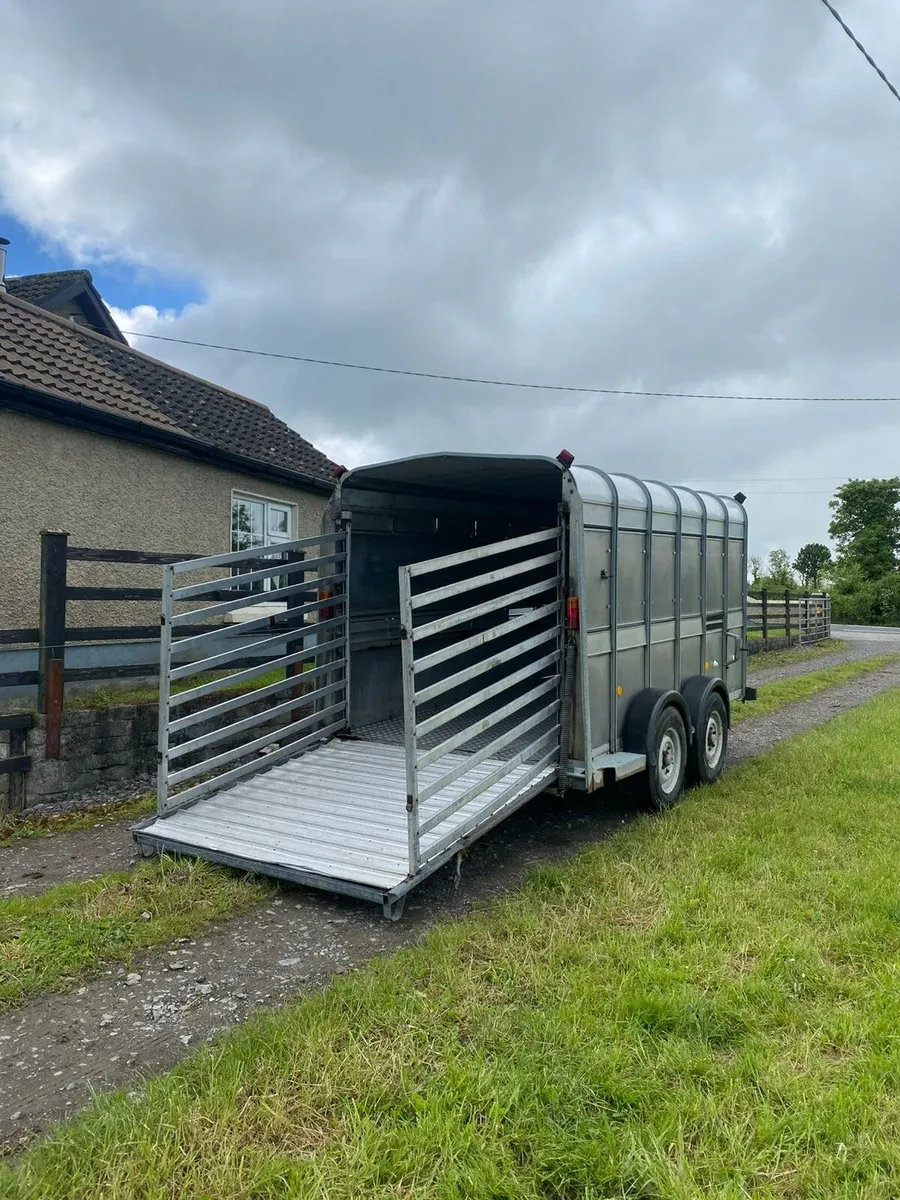 Ivor Williams cattle trailer - Image 4