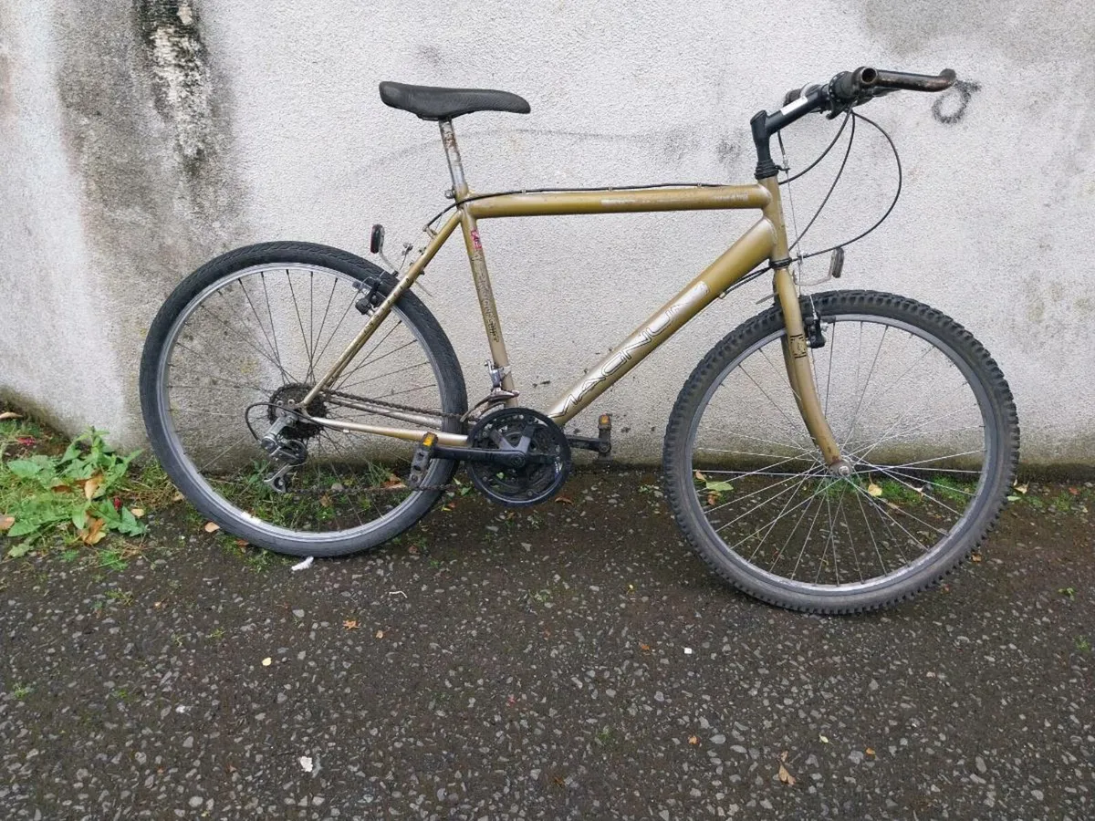 Mens mountain bike - Image 1
