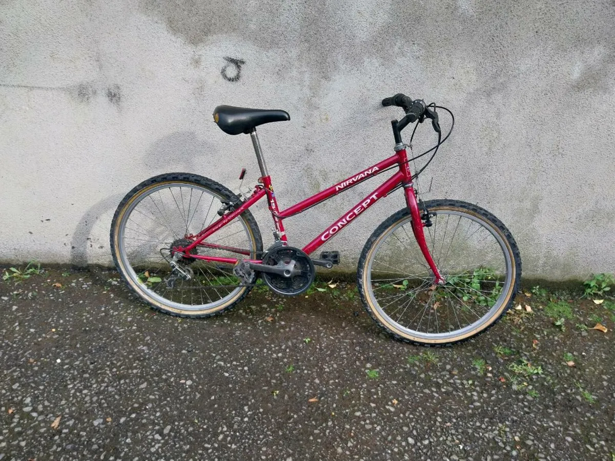 Girls mountain bike - Image 1
