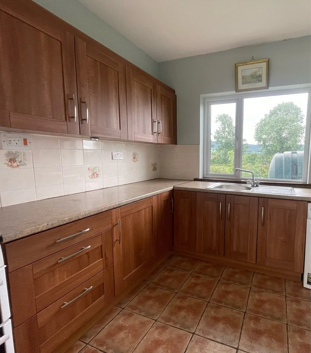 Kitchen cabinets - Image 1