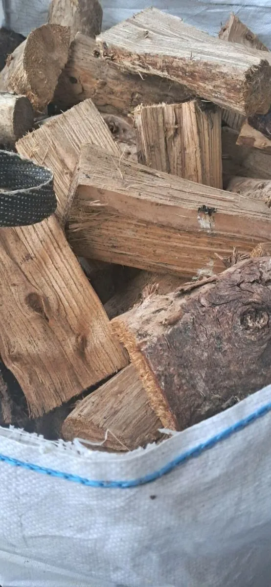 Firewood - Image 2