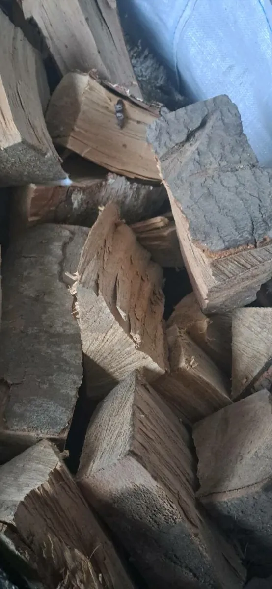Firewood - Image 3